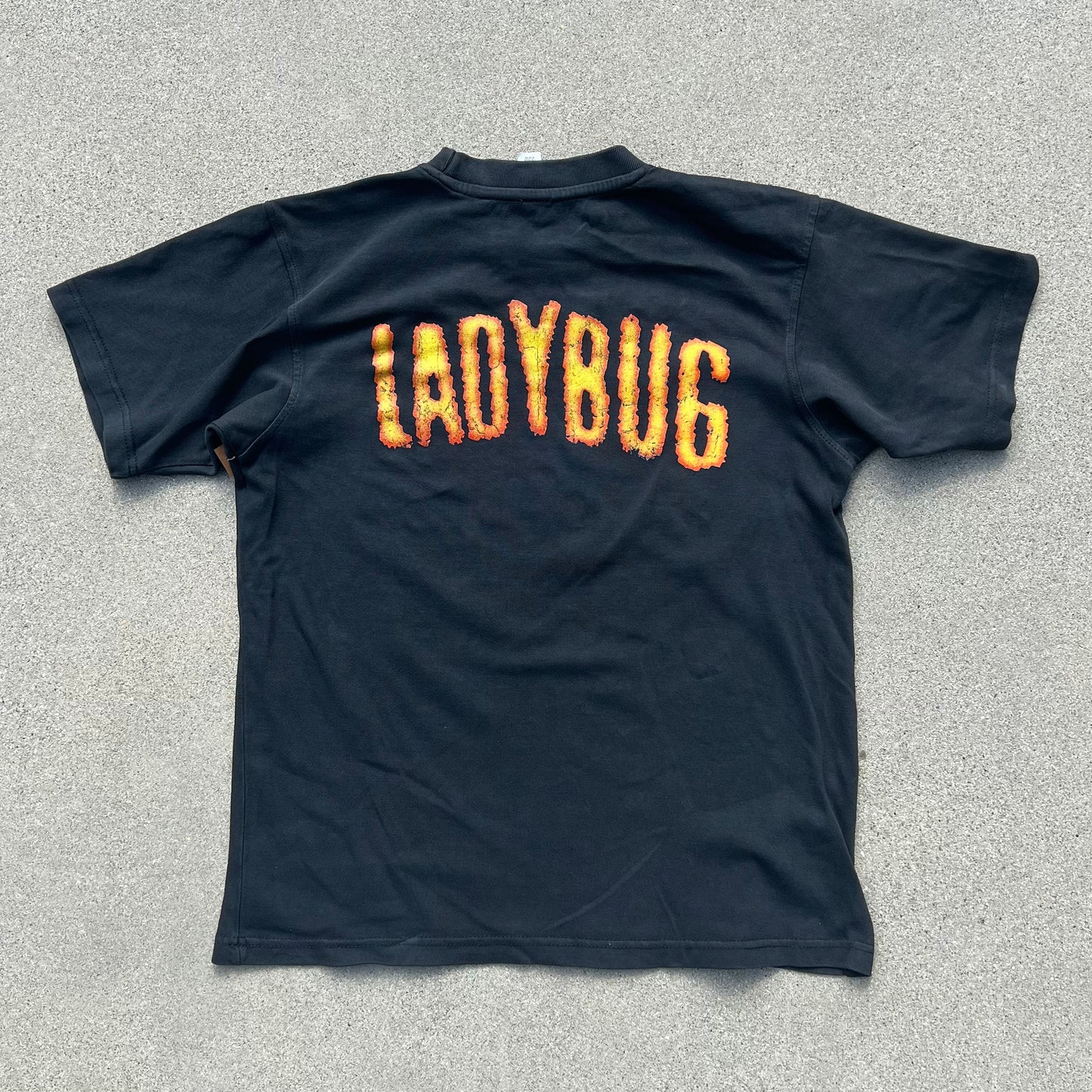 Ladybug Tee