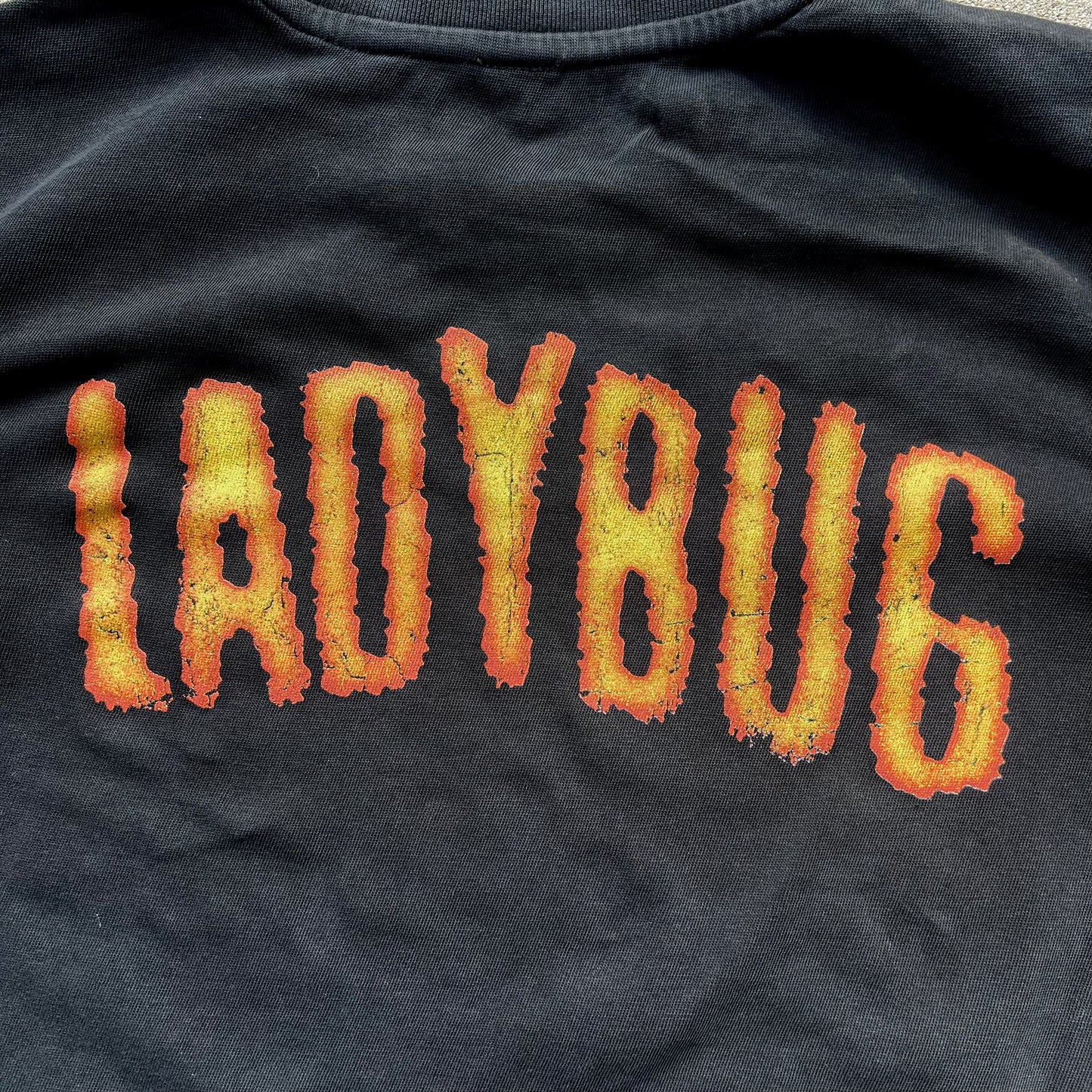 Ladybug Tee